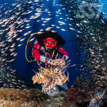 DEEP DIVING 01