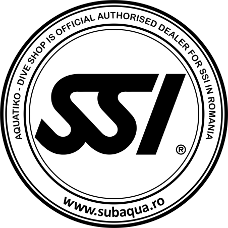 SSI